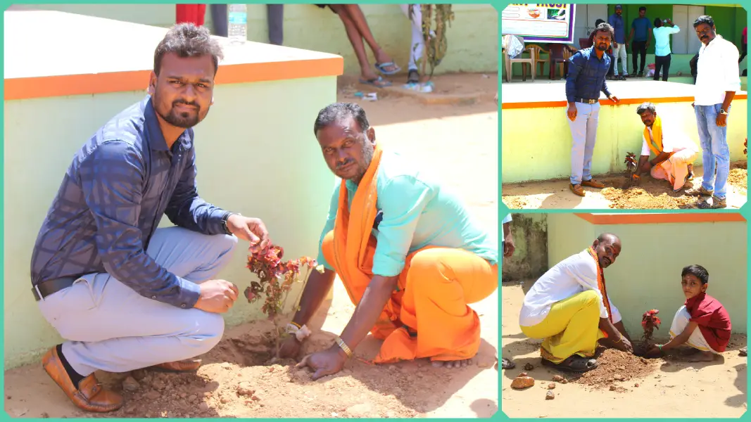 RVF Saplings Plantation